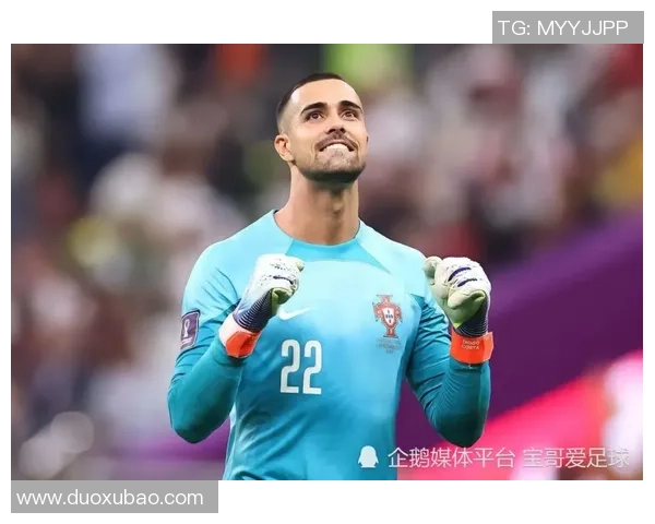 迈尼昂的崛起与挑战：从新星门将到国际赛场的闪耀之路